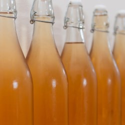 
                                                                
                                                            
                                                             Choosing the Best Bottles, Containers & Caps for Packaging Kombucha